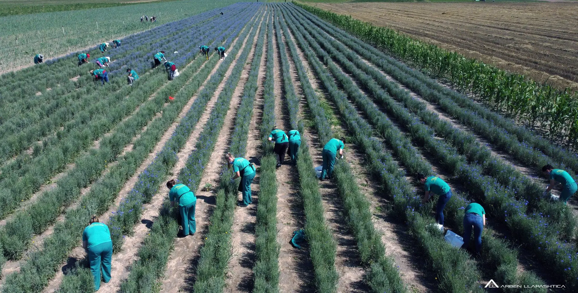 The Environmental and Social Management System of KCGF